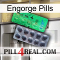 Engorge Pills new04